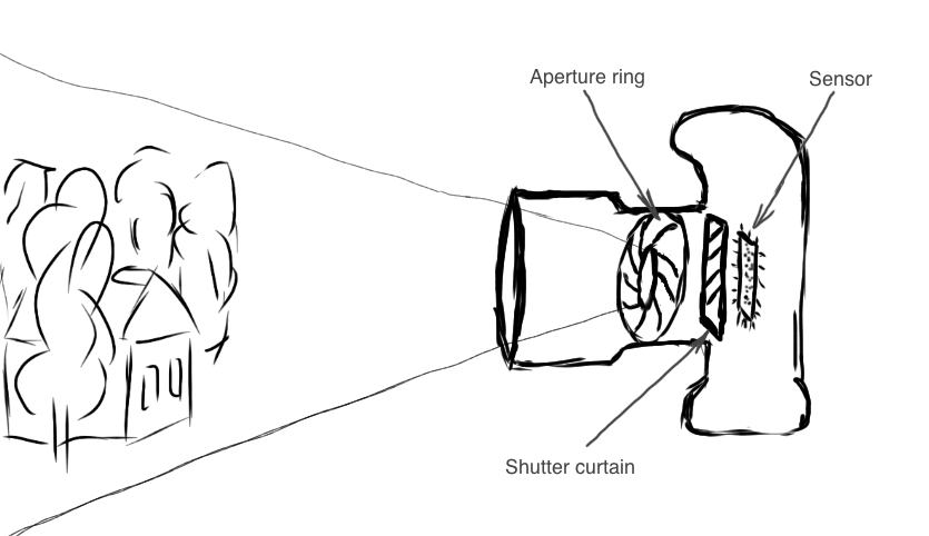 Basic Photography Concepts: Aperture, Shutter Speed, ISO Speed, Exposure