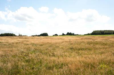 Overexposed photo example