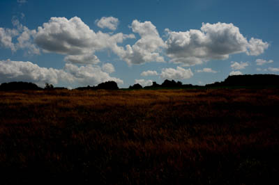 Underexposed photo example